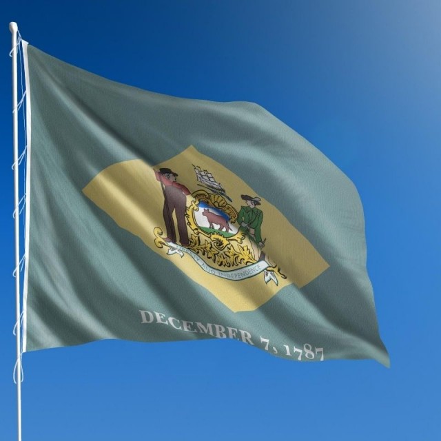 Σημαία Delaware 0,50m