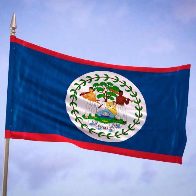 Flag Belize 1,00m