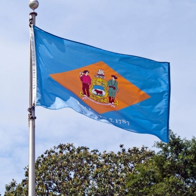 Flag Delaware 0,70m