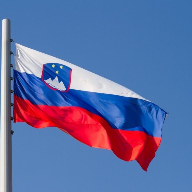 Flag Slovenia 0,50m