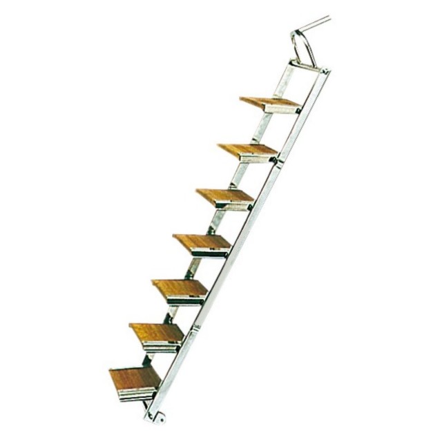 Stainless steel gangway/ladder