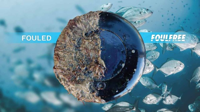 Υφαλόχρωμα Σιλικόνης για αισθητήρες οργάνων FOULFREE Κιτ 15ml