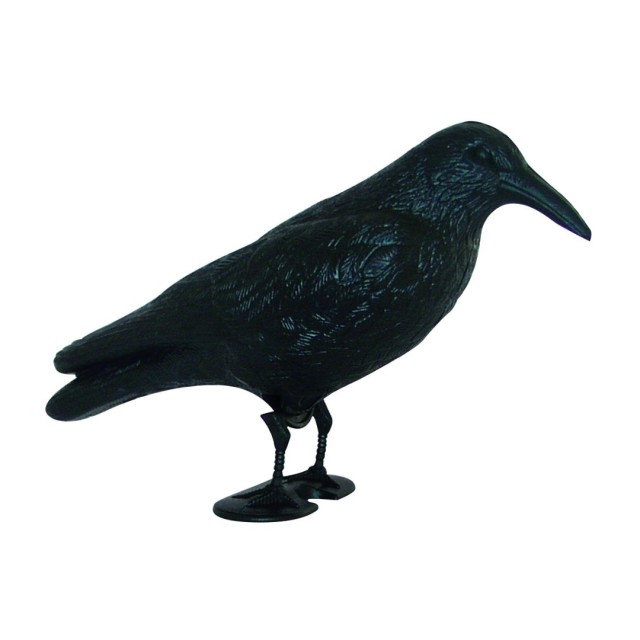 Κοράκι πλαστικό για την απώθηση γλάρων