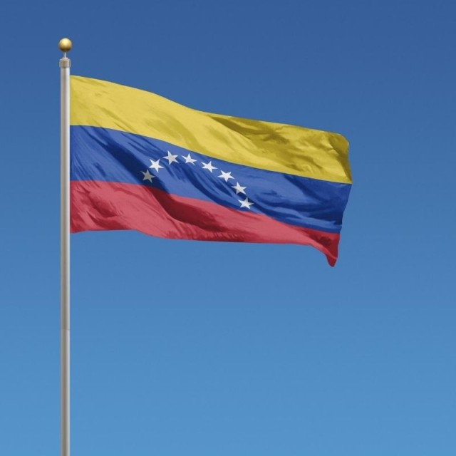 Flag Venezuela 0,50m
