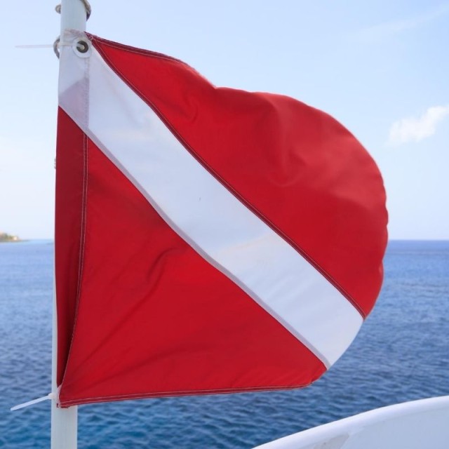 Σημαία Δυτων Χωρις Δυτη