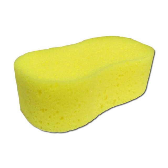 Dog Bone Sponge
