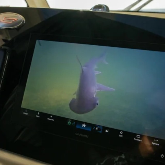 Υποβρύχιο Φως Sport με ενσωματωμένη Κάμερα DMX Χρώματα PAL (με Κιτ Απομονωμένης Στήριξης)