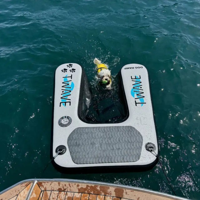 Φουσκωτή Ράμπα για Σκύλους Trem T-Wave