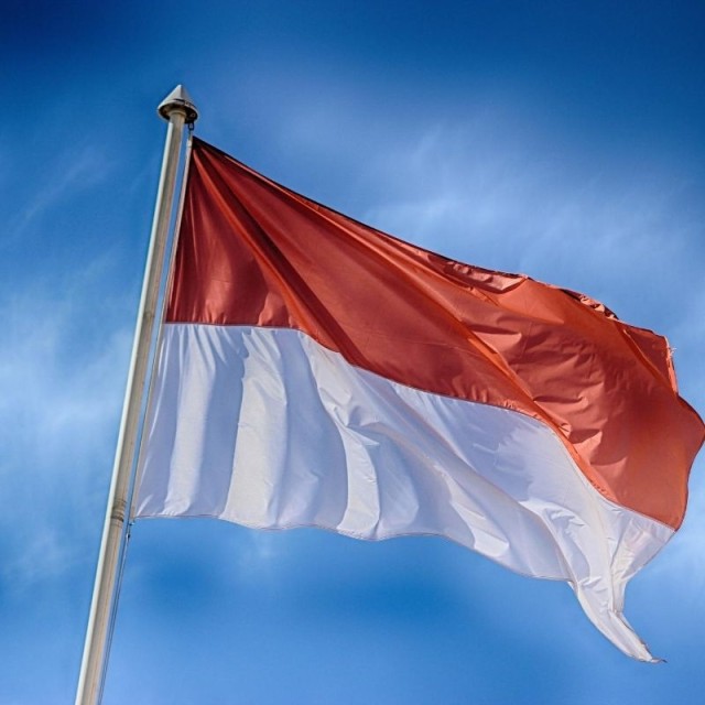 Σημαία Μονακο 0,50m