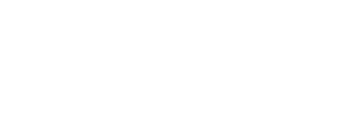 Klarna icon